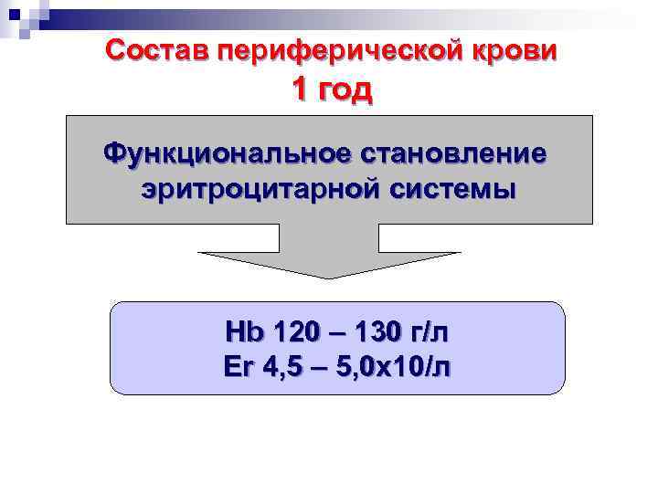 Состав периферической крови 1 год Функциональное становление эритроцитарной системы Hb 120 – 130 г/л