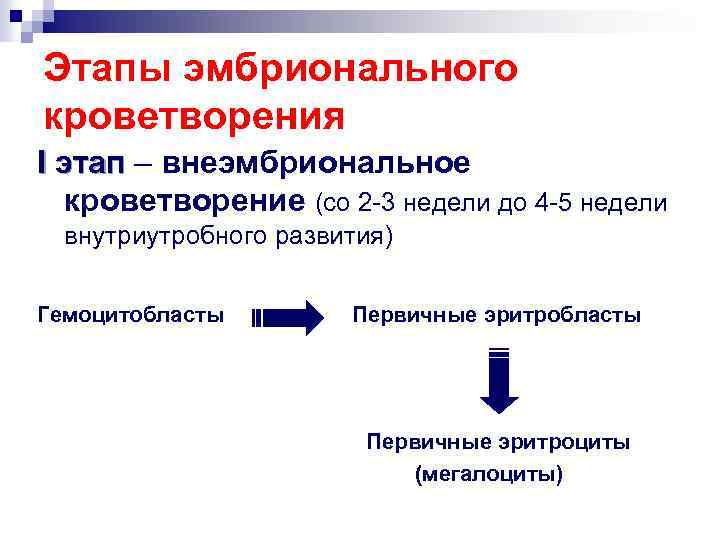 Этапы эмбрионального кроветворения I этап – внеэмбриональное кроветворение (со 2 -3 недели до 4