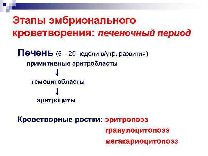 Этапы эмбрионального кроветворения: печеночный период Печень (5 – 20 недели в/утр. развития) примитивные эритробласты