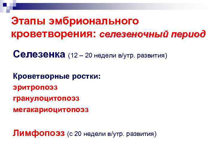 Этапы эмбрионального кроветворения: селезеночный период Селезенка (12 – 20 недели в/утр. развития) Кроветворные ростки: