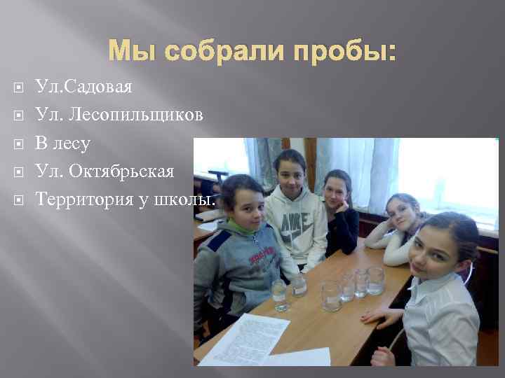 Мы собрали пробы: Ул. Садовая Ул. Лесопильщиков В лесу Ул. Октябрьская Территория у школы.