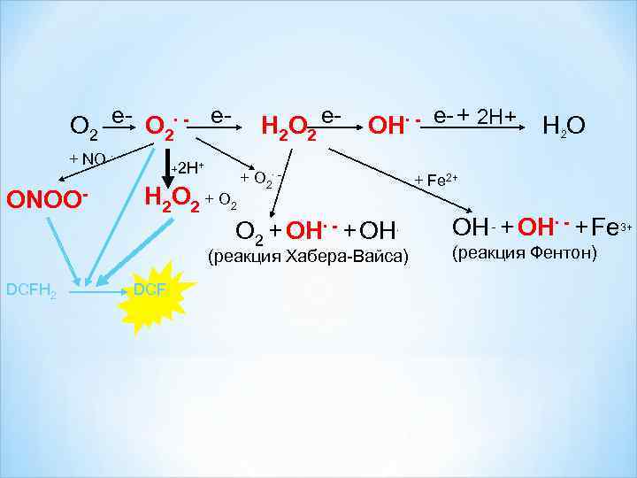 О 2 е- О 2∙ - е+ NO ∙ ONOO- +2 Н+ Н 2