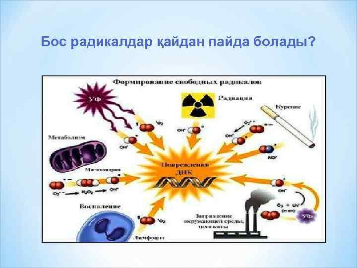 Бос радикалдар қайдан пайда болады? 