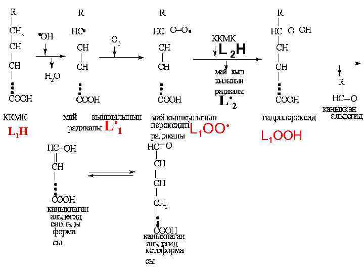 L 2 H L • 2 L 1 Н L • 1 L 1