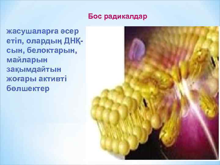 Бос радикалдар жасушаларға әсер етіп, олардың ДНҚсын, белоктарын, майларын зақымдайтын жоғары активті бөлшектер 