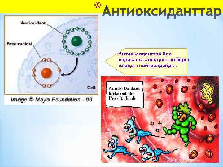 * Антиоксиданттар бос радикалға электронын беріп оларды нейтралдайды. 