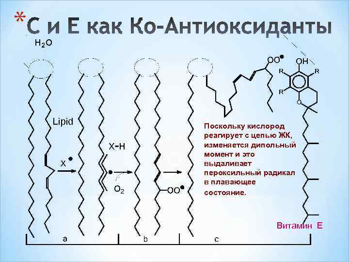 Пероксильный радикал