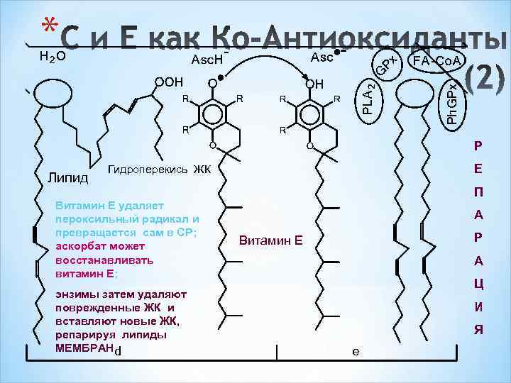 Пероксильный радикал