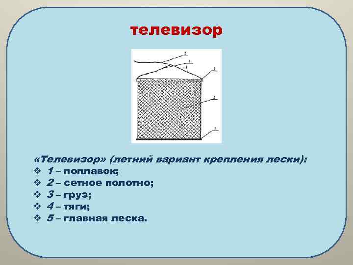  телевизор «Телевизор» (летний вариант крепления лески): v 1 – поплавок; v 2 –