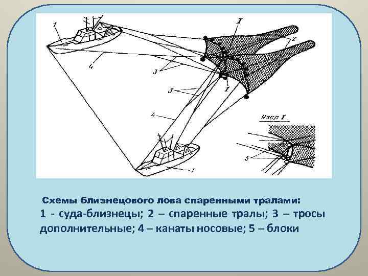  Схемы близнецового лова спаренными тралами: 1 - суда-близнецы; 2 – спаренные тралы; 3