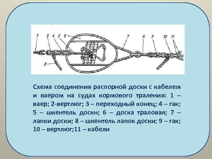Схема соединения распорной доски с кабелем и ваером на судах кормового траления: 1 –