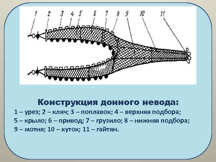 Конструкция донного невода: 1 – урез; 2 – кляч; 3 – поплавок; 4 –