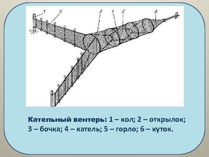 Схема анализа верша