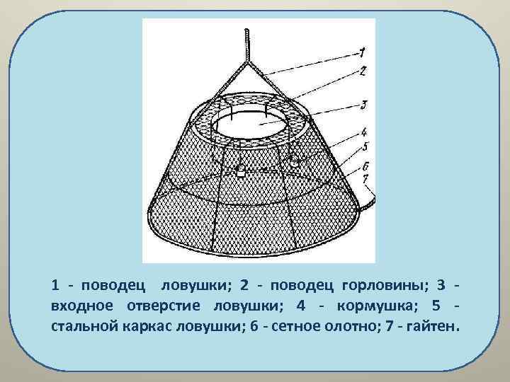 Крабовая ловушка чертеж