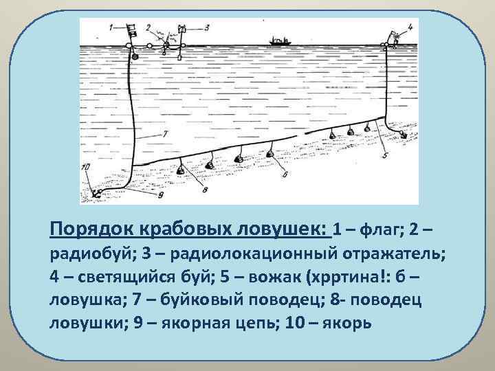 Крабовая ловушка чертеж