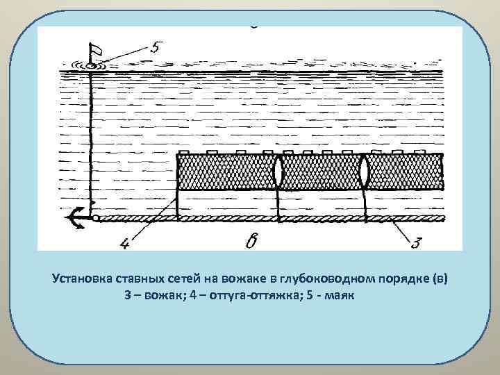  Установка ставных сетей на вожаке в глубоководном порядке (в) 3 – вожак; 4