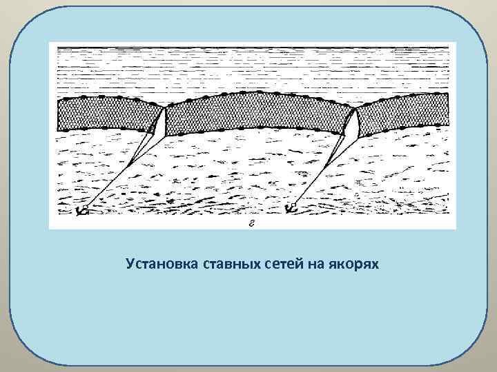 Установка ставных сетей на якорях 