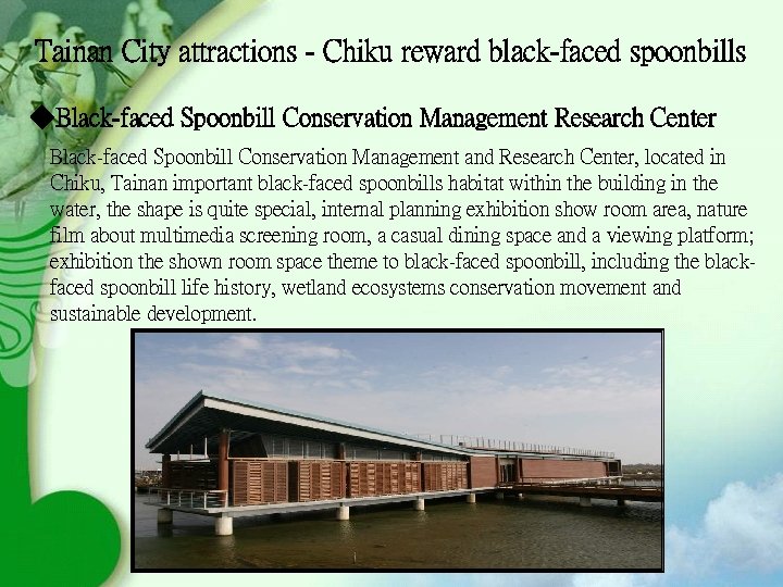 Tainan City attractions - Chiku reward black-faced spoonbills ◆Black-faced Spoonbill Conservation Management Research Center