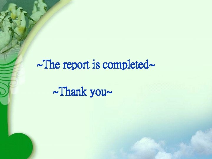 ~The report is completed~ ~Thank you~ 