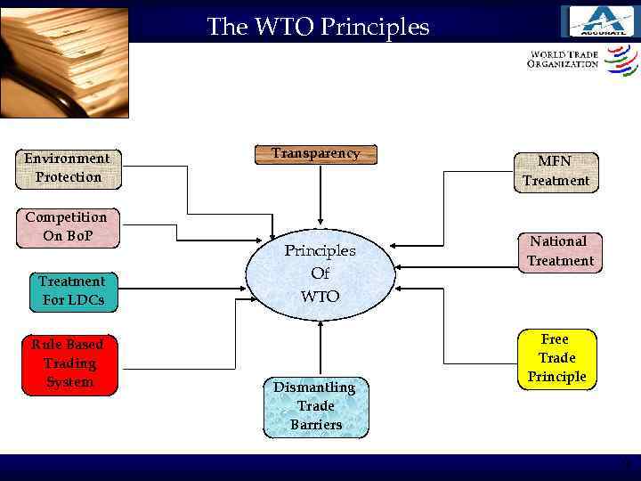 The WTO Principles Environment Protection Competition On Bo. P Treatment For LDCs Rule Based