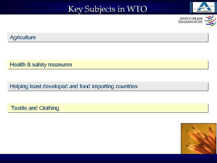 Key Subjects in WTO Agriculture Health & safety measures Helping least developed and food