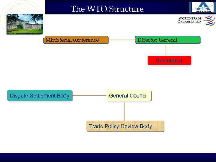 The WTO Structure Ministerial conference Director General Secretariat Dispute Settlement Body General Council Trade