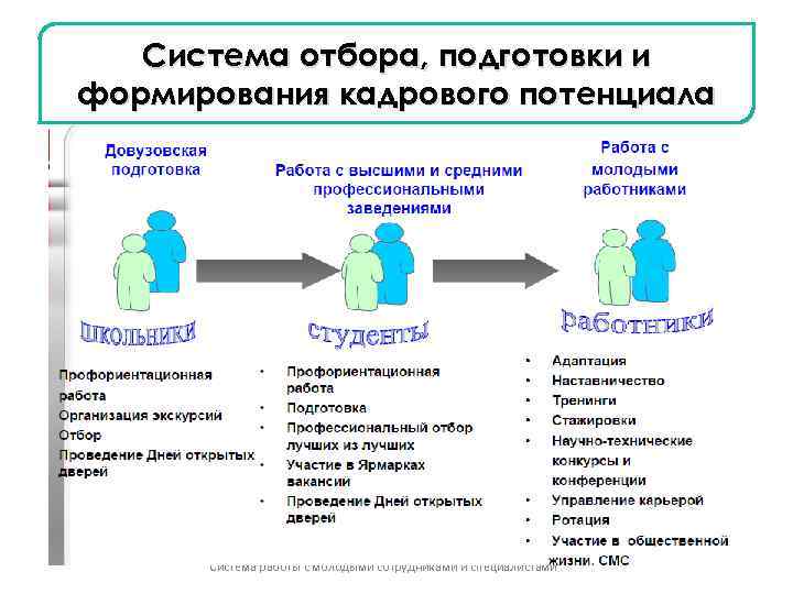 Система отбора, подготовки и формирования кадрового потенциала Система работы с молодыми сотрудниками и специалистами