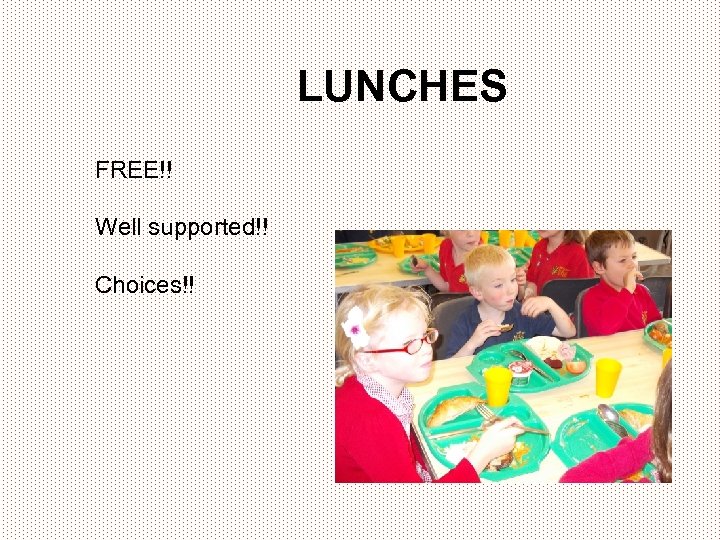 LUNCHES FREE!! Well supported!! Choices!! 