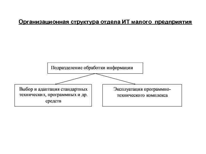 Организационная структура отдела ИТ малого предприятия 