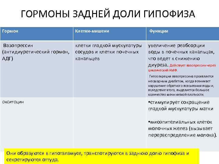 Гормон вазопрессин презентация