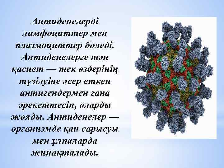 Антиденелерді лимфоциттер мен плазмоциттер бөледі. Антиденелерге тән қасиет — тек өздерінің түзілуіне әсер еткен
