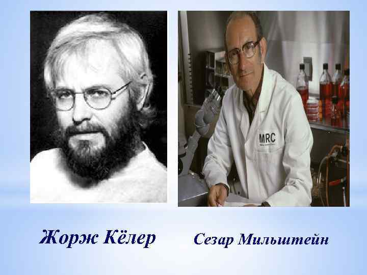Жорж Кёлер Сезар Мильштейн 