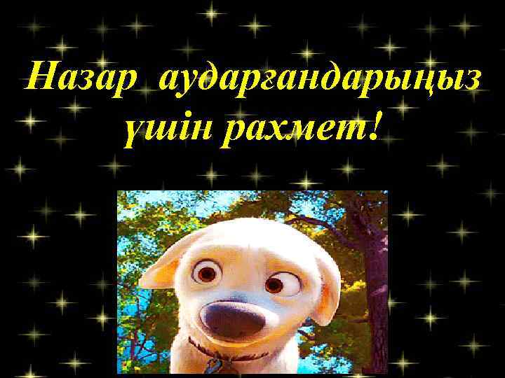 Назар аударғандарыңыз үшін рахмет! 