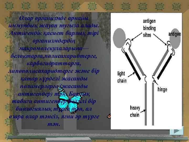 Олар организмде арнайы иммундық жауап туғыза алады. Антигендік қасиет барлық тірі организмдердің макромолекулаларына— белоктарға,
