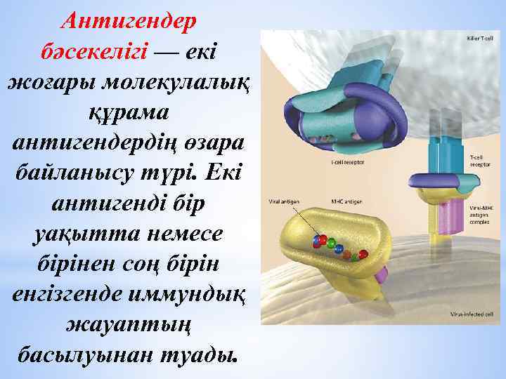 Антигендер бәсекелігі — екі жоғары молекулалық құрама антигендердің өзара байланысу түрі. Екі антигенді бір