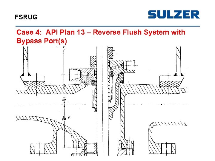 FSRUG Case 4: API Plan 13 – Reverse Flush System with Bypass Port(s) 
