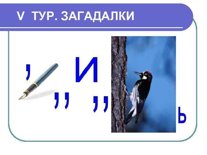 V ТУР. ЗАГАДАЛКИ 