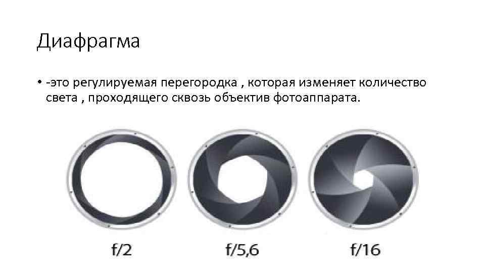 Диафрагма • -это регулируемая перегородка , которая изменяет количество света , проходящего сквозь объектив