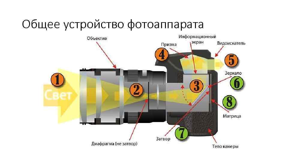 Общее устройство фотоаппарата 