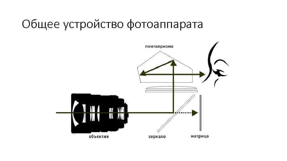 Общее устройство фотоаппарата 