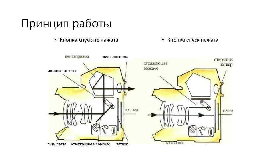 Принцип работы • Кнопка спуск не нажата • Кнопка спуск нажата 