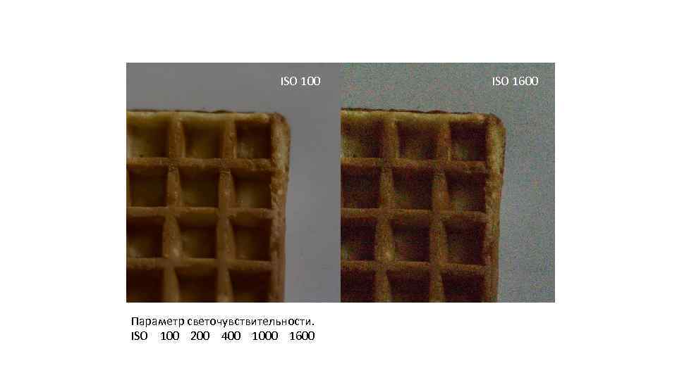 ISO 100 Параметр светочувствительности. ISO 100 200 400 1000 1600 ISO 1600 