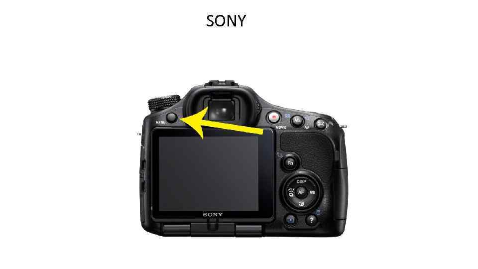 SONY 