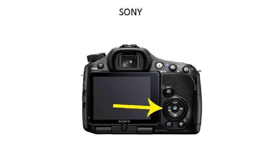 SONY 