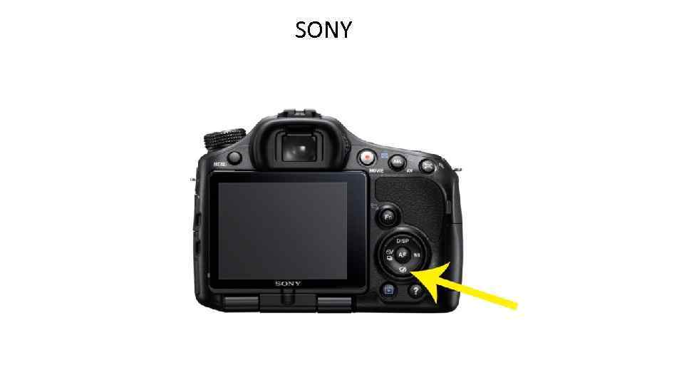 SONY 