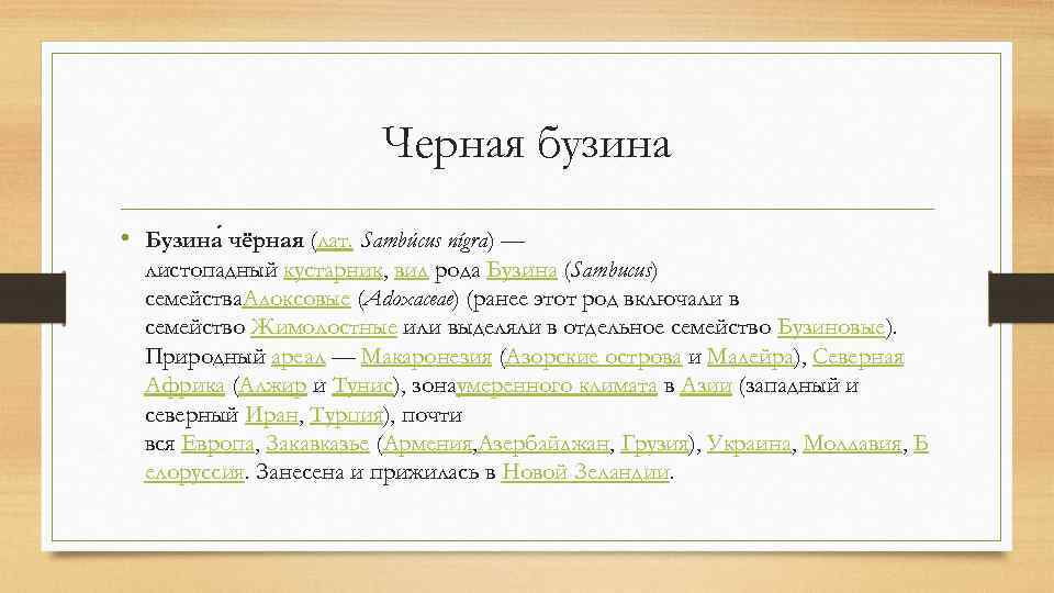 Черная бузина • Бузина чёрная (лат. Sambúcus nígra) — листопадный кустарник, вид рода Бузина