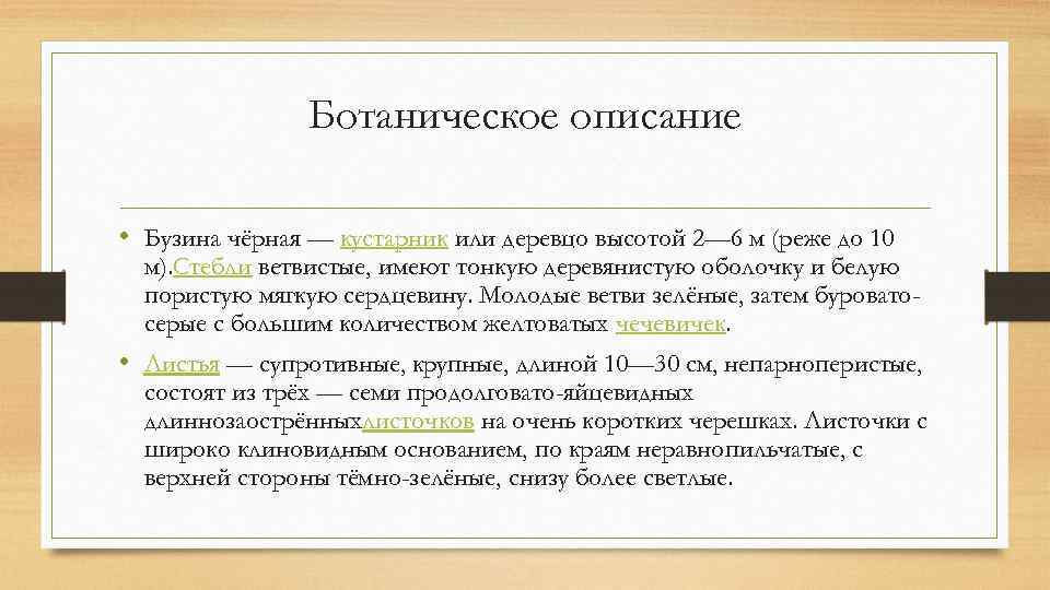 Ботаническое описание • Бузина чёрная — кустарник или деревцо высотой 2— 6 м (реже