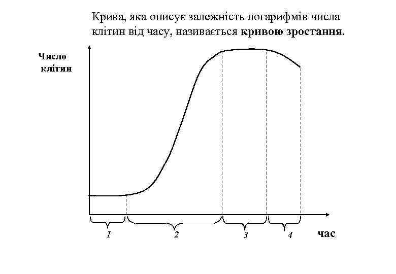 Крива, яка описує залежність логарифмів числа клітин від часу, називається кривою зростання. Число клітин