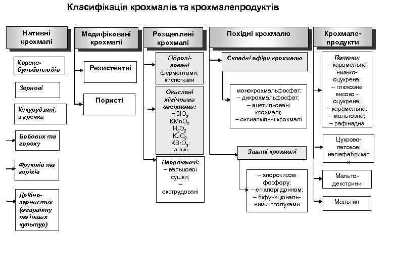 Класифікація крохмалів та крохмалепродуктів Нативні крохмалі Коренебульбоплодів Модифіковані крохмалі Резистентні Зернові Пористі Кукурудзяні, з