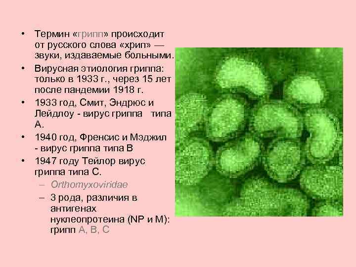  • Термин «грипп» происходит от русского слова «хрип» — звуки, издаваемые больными. •